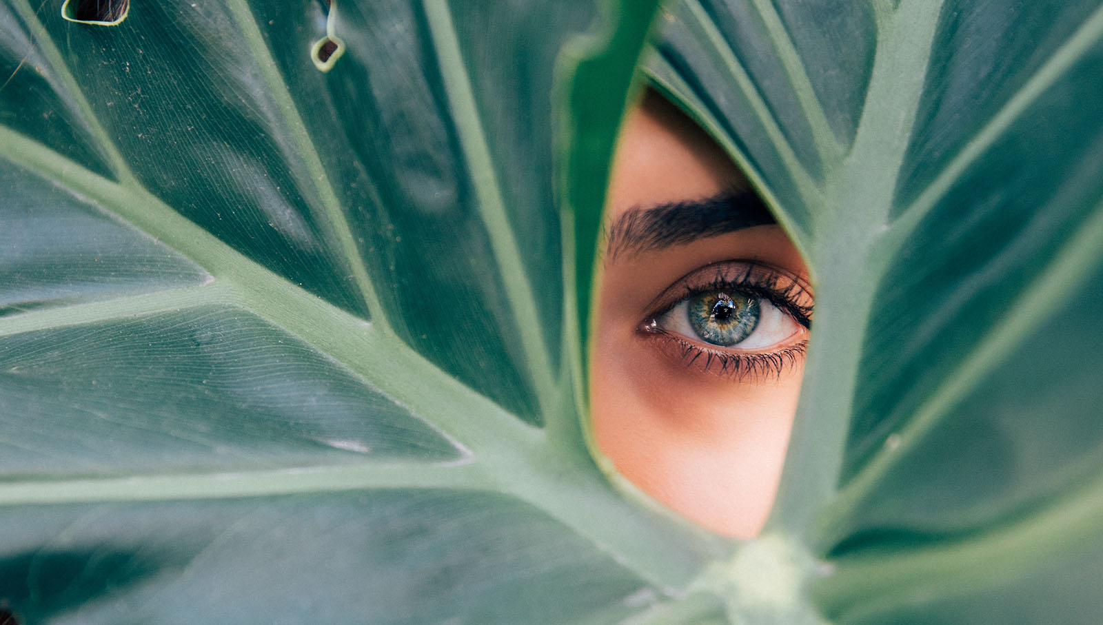 eye looking through green leaf