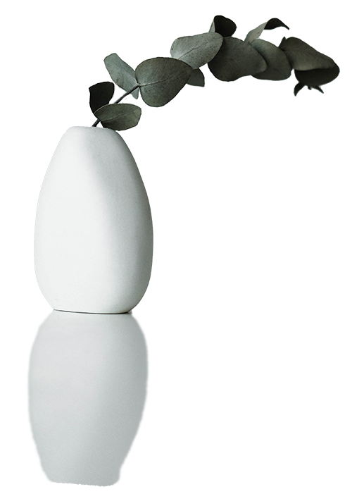 Ecalyptus leaf in white vase